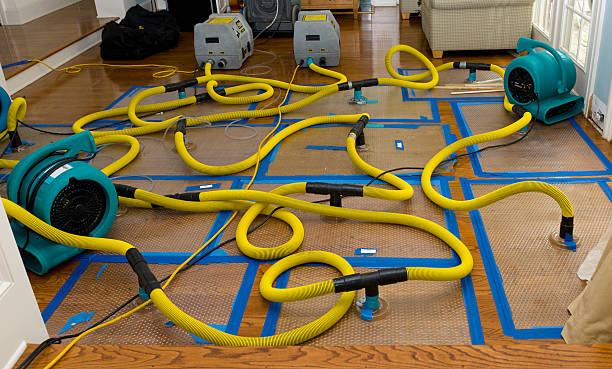 Professional Storm Water Damage Restoration technician working in Braintree, MA
